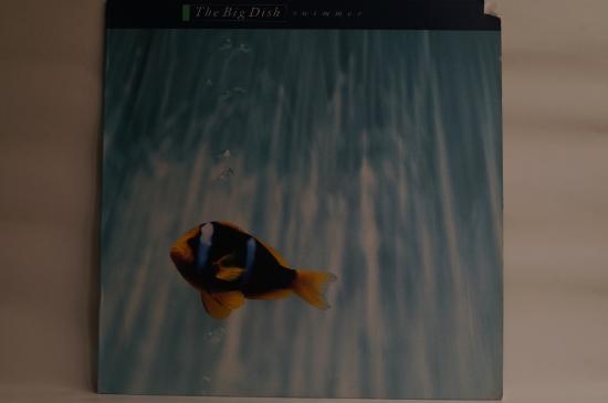 Big Dish-Swimmer