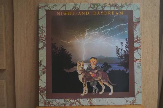 Ananta - Night And Daydream