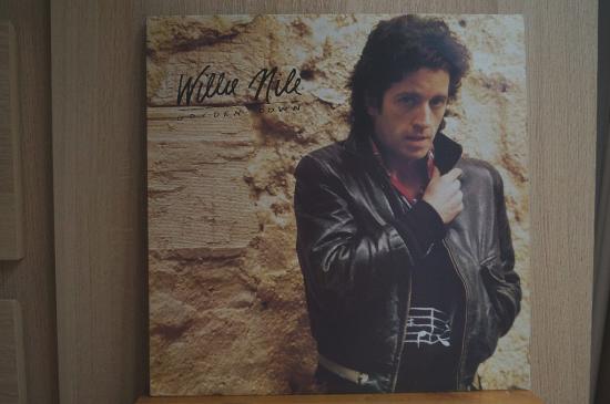 Willie Nile - Golden Down