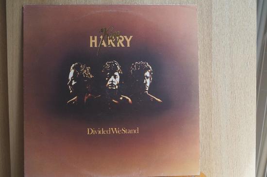 King Harry - Divided We Stand