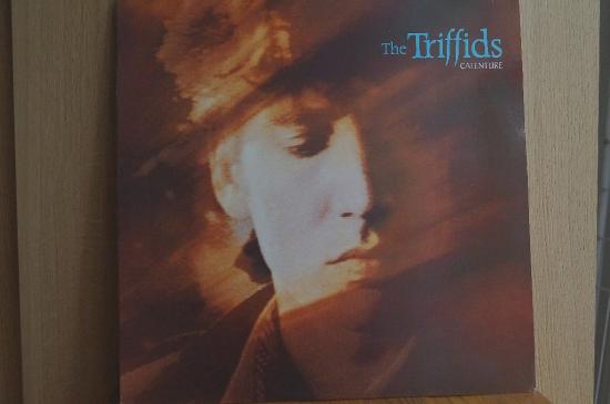 Triffids - Calenture