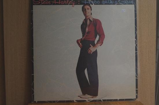 Steve Harley - Hobo With A Grin