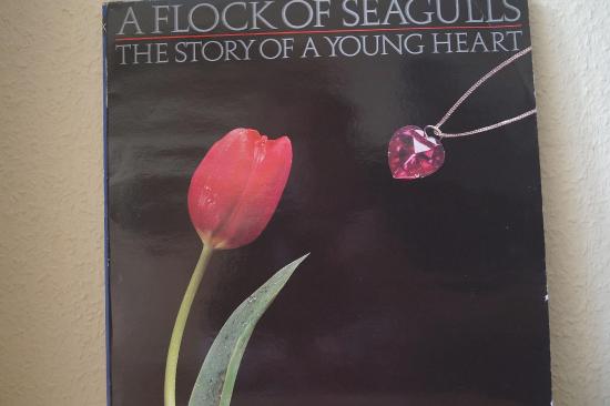 A Flock Of Seagulls - The Story Of A Young Heart
