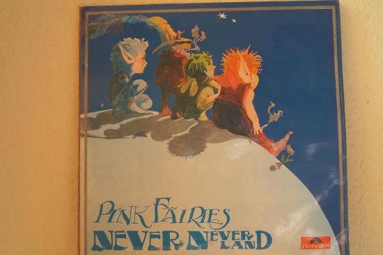 Pink Fairies - Never Ever Land