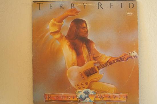 Terry Reid - Rogue Waves