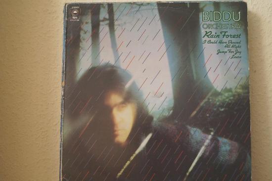 Biddu Orchestra - Rain Forest
