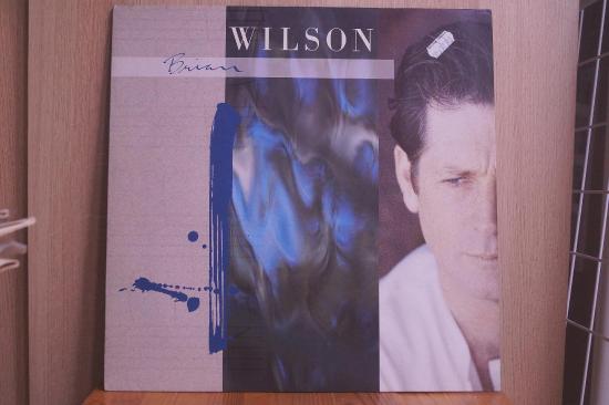 Brian Wilson - Brian Wilson