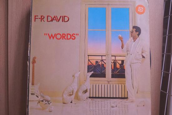 F.R. David - Words