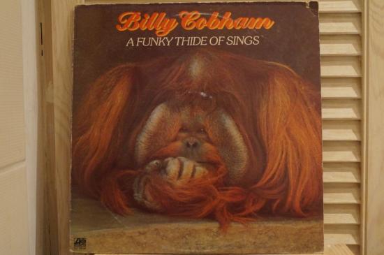Billy Cobham - A Funky Thide Of Sings