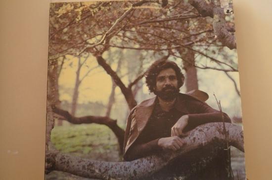 Felix Cavaliere - Destiny