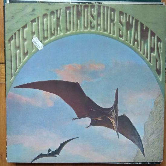 Flock - Dinosaur Swamps