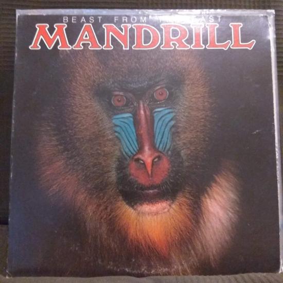 Mandrill - Beast From The East
