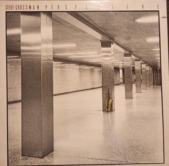 Steve Grossman - Perspective