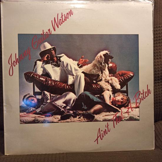 Johnny Guitar Watson -Ain't That A Bitch