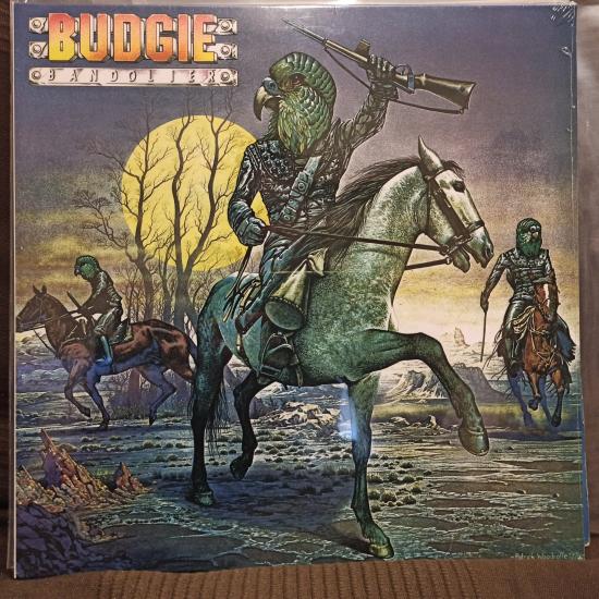 Budgie-Bandolier