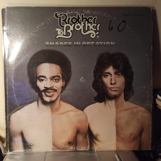 Brother To Brother -Shades In Creation