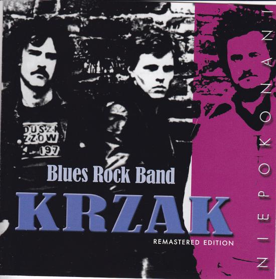 Krzak-Blues Rock Band