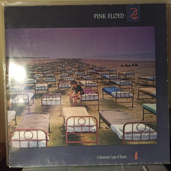 A Momentary Lapse Of Reason
