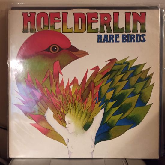  Rare Birds