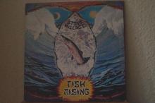 Steve Hillage - Fish Rising