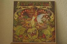 Spyro Gyra - Morning Dance