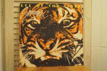 Survivor - Eye Of The Tiger