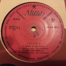 Polanie - Down In The Valley