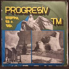 Progresiv TM -Dreptul De A Visa