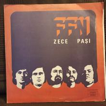 FFN -Zece Pași