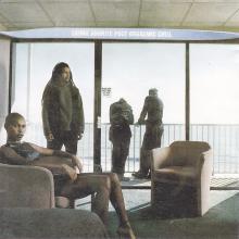 Skunk Anansie-Post Orgasmic Chill